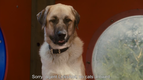 ZVUSY.png