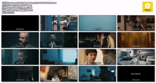 Section.8.2022.1080p.BluRay.DTS.x265 10bit HDS.mkv