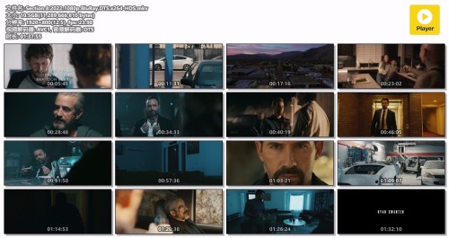 Section.8.2022.1080p.BluRay.DTS.x264 HDS.mkv