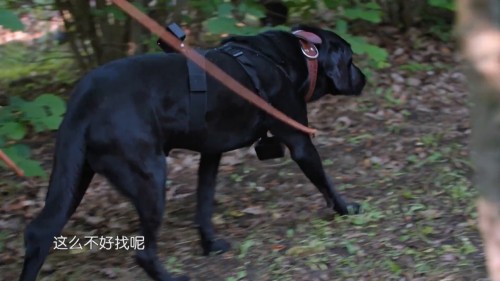 kR0Py.jpg