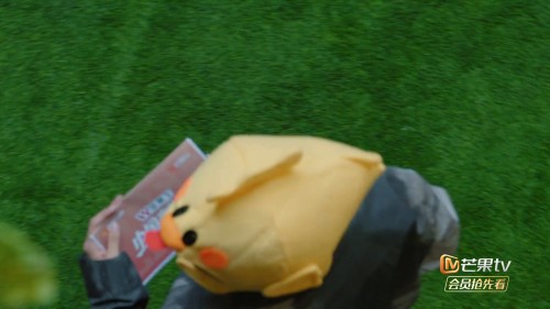 aQx7l.jpg