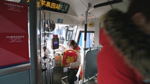 ayv12.jpg