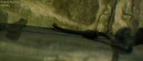 EfwfK.png