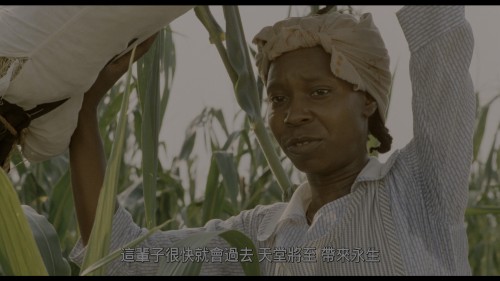 The Color Purple (1985) 20231201 090635.384