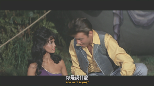 55FLV.png