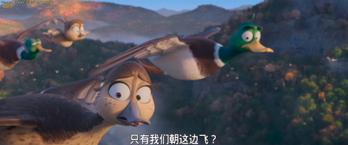 YhSF6.png