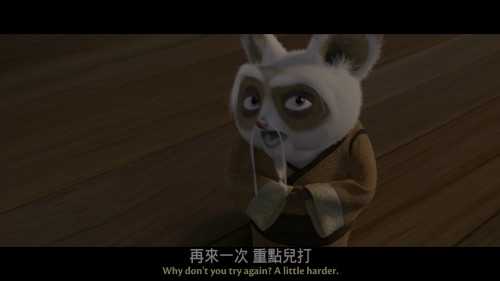 Kung Fu Panda 20240313 170420.244