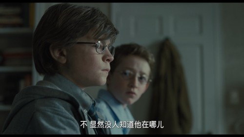 金翅雀.The.Goldfinch.2019.BluRay.1080p.AVC.DTS HD.MA.5.1 TYZH@HDSky 20240629 094356.979