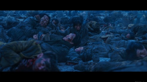 QvDr21.jpg