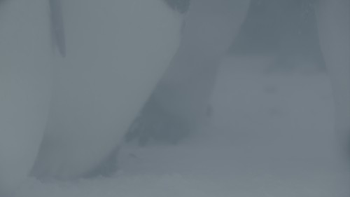 QvUM2q.jpg