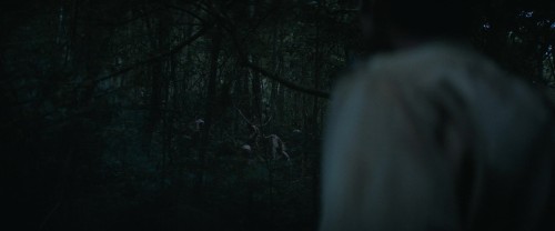 QvprYj.jpg