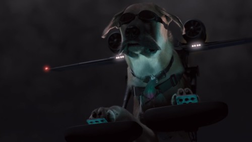 QvKLR2.jpg
