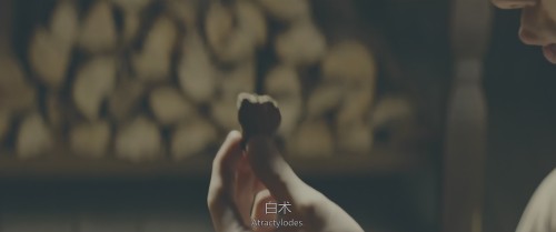 QH1Uz5.jpg