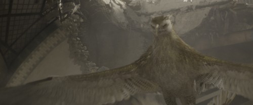 QOBu75.jpg