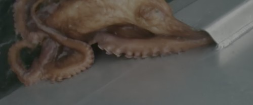 QOipHj.jpg