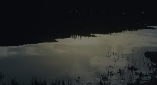 QOncry.jpg
