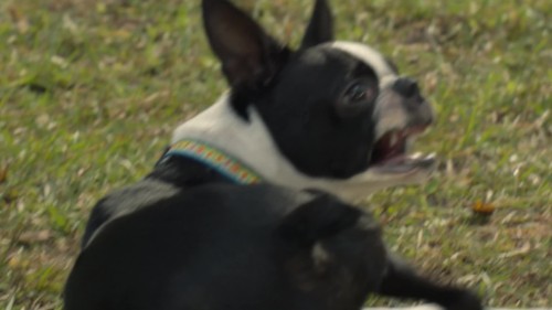QOXeDn.jpg