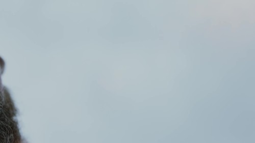 QwhCOd.jpg