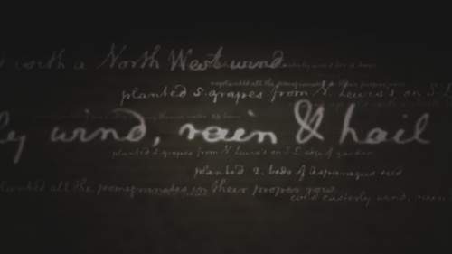 Qw61A4.jpg