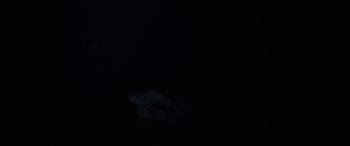 QN1R44.jpg