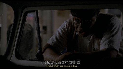 Field of Dreams 20251127 083707.031