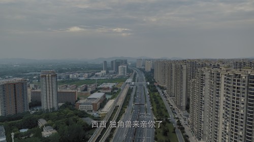 TjJS05.jpg