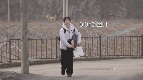 Tm0Jjj.jpg