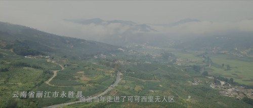 TmF599.jpg