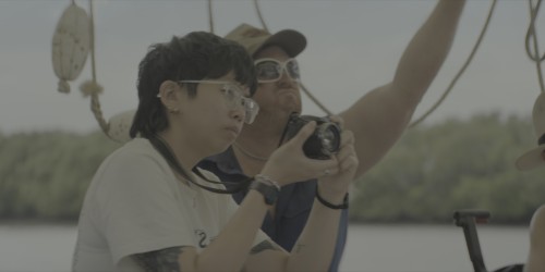 Tmf6Yp.jpg