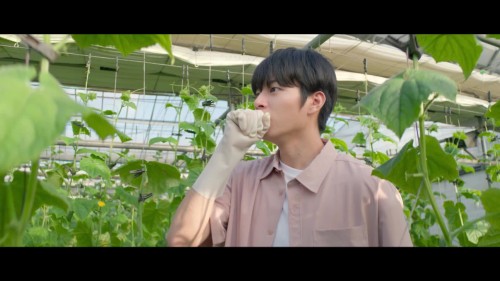TuhBhy.jpg