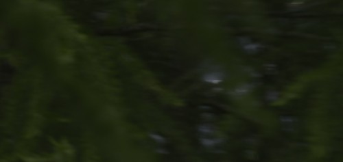 TuZgfE.jpg