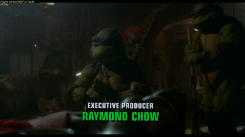 TurtdA.png