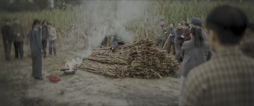 T0Vhan.jpg