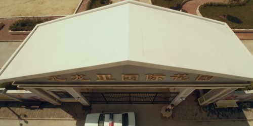 TVBFL4.jpg