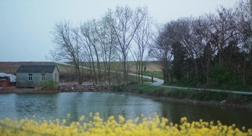 TVE6rI.jpg