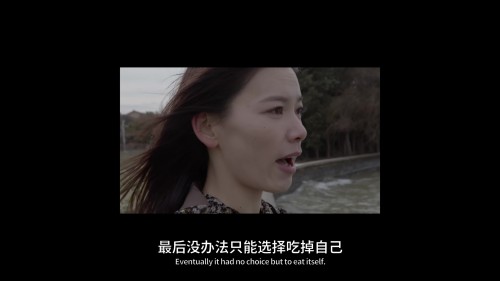 TV7Omu.jpg