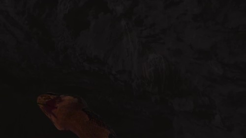 TVA84K.jpg