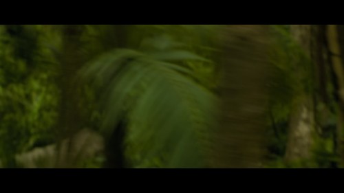 TMCSLq.jpg