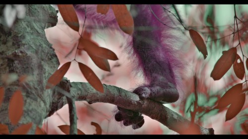 TM6kyK.jpg