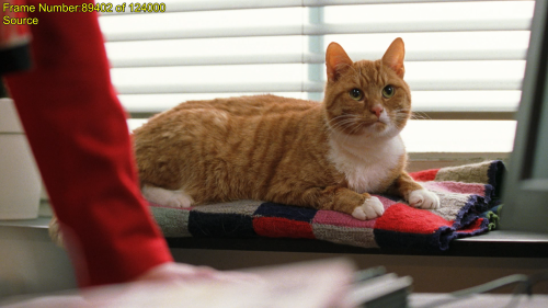 Tdci11.png