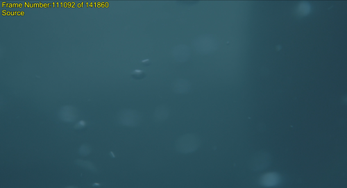 Te06R1.png