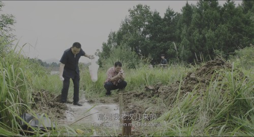 Tq9M06.jpg