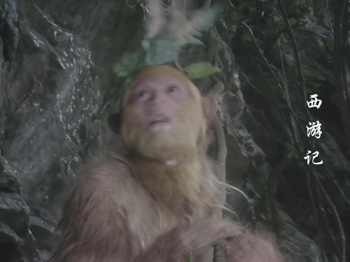 TSeWjw.jpg