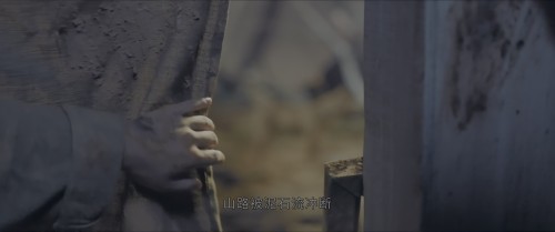 TcSH29.jpg