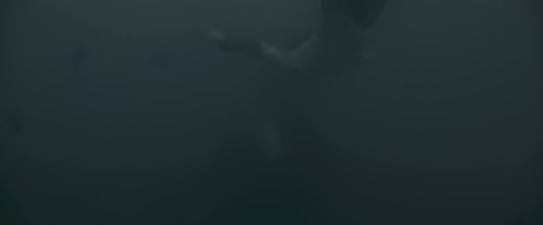 T99Ein.jpg